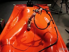 Boundlads - milked in vacbed