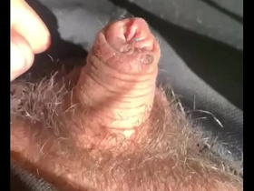 penis