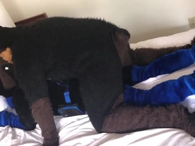Slim fucks kairo murrsuit